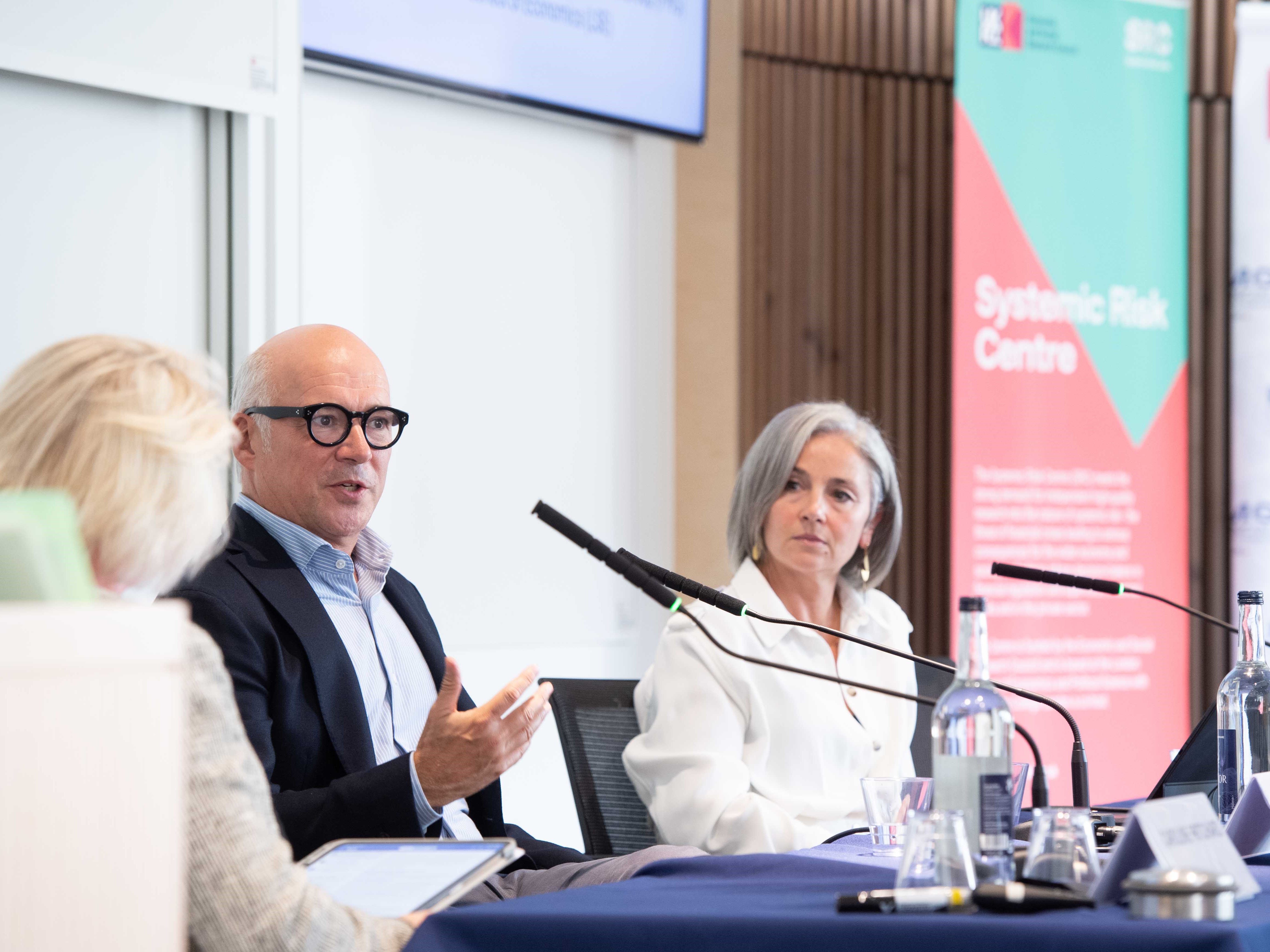 Systemic Risk Day Panel 3 cropped